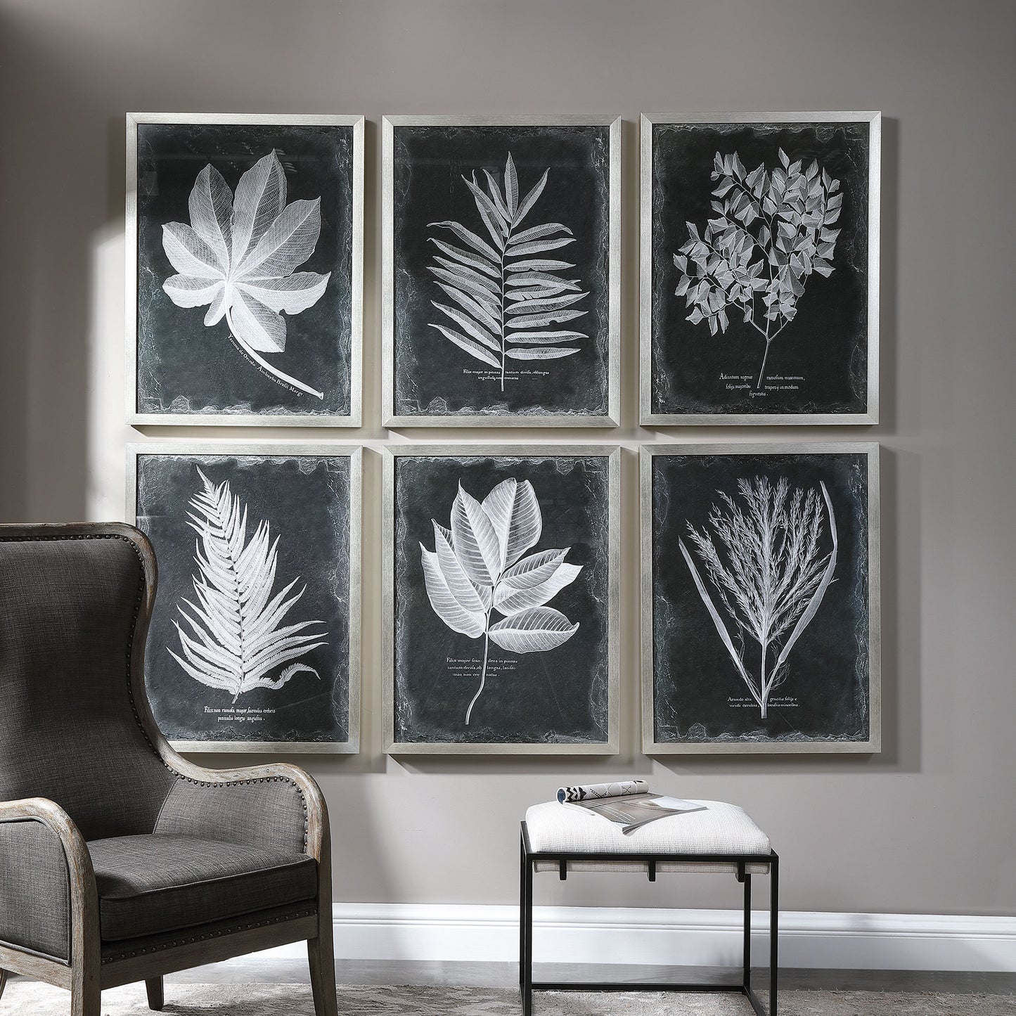 Uttermost 33671 Foliage Framed Prints, S/6