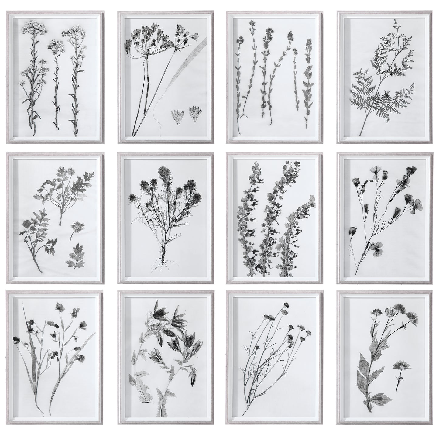 Uttermost 33713 Contemporary Botanicals Framed Prints, S/12
