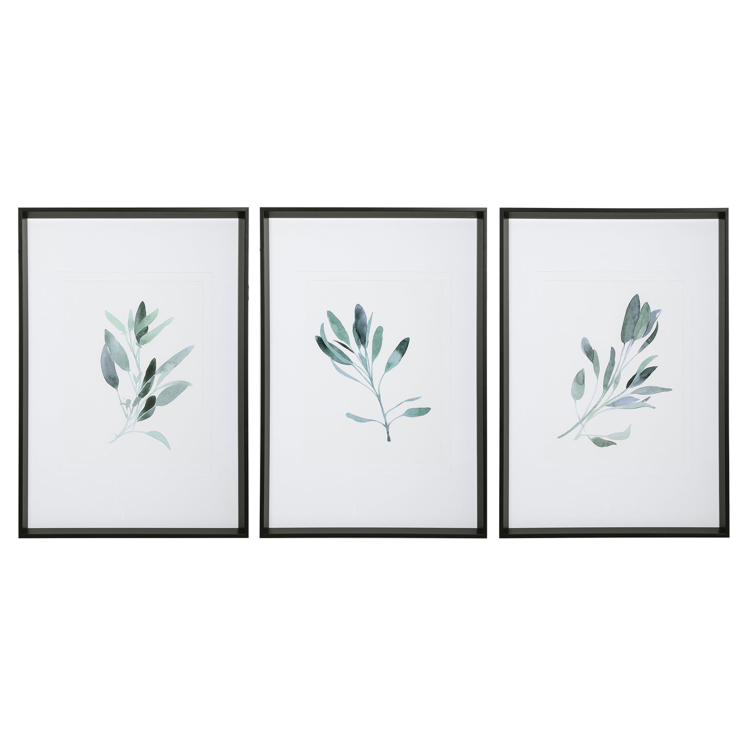 Uttermost 33723 Simple Sage Watercolor Prints, S/3