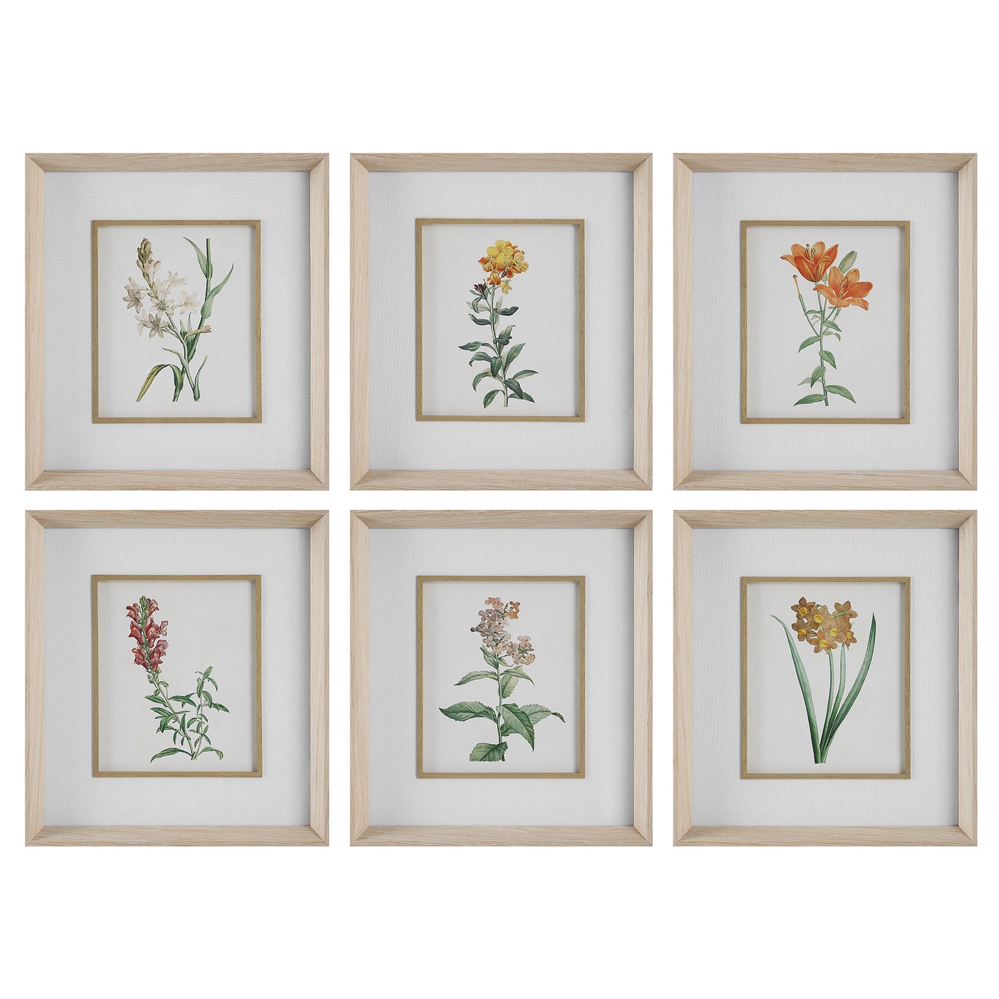 Uttermost 32284 Classic Botanicals Framed Prints Set/6