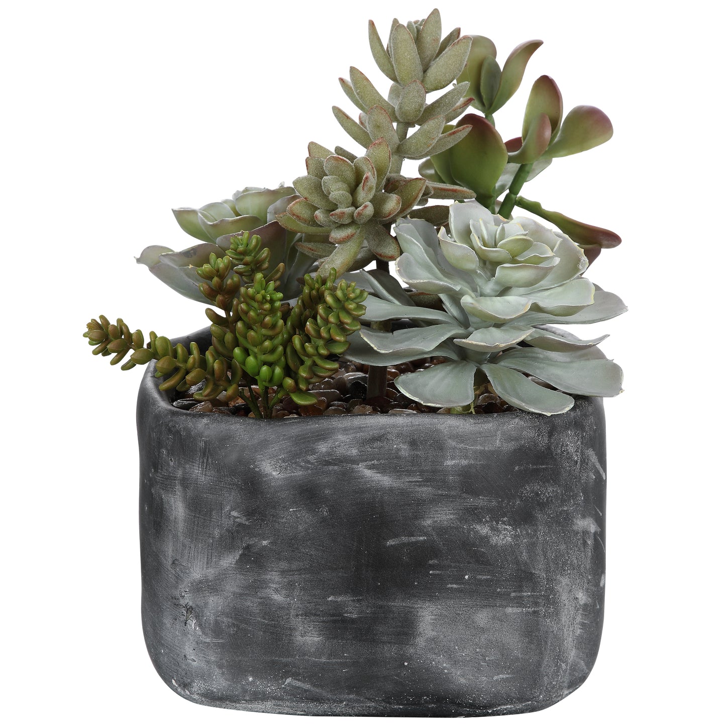Uttermost 60173 Alverio Desert Garden Succulents