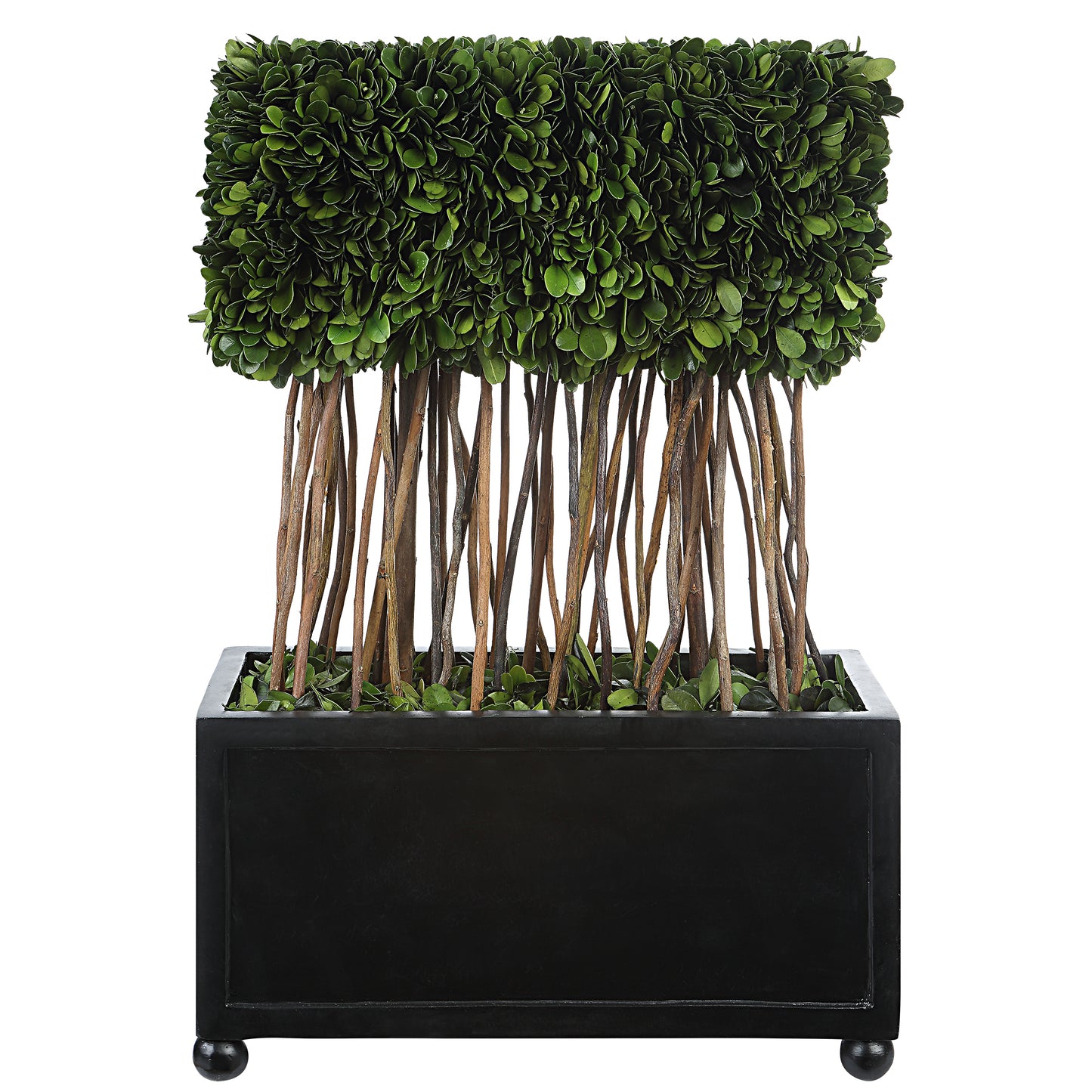 Uttermost 60188 Preserved Boxwood Rectangular Topiary
