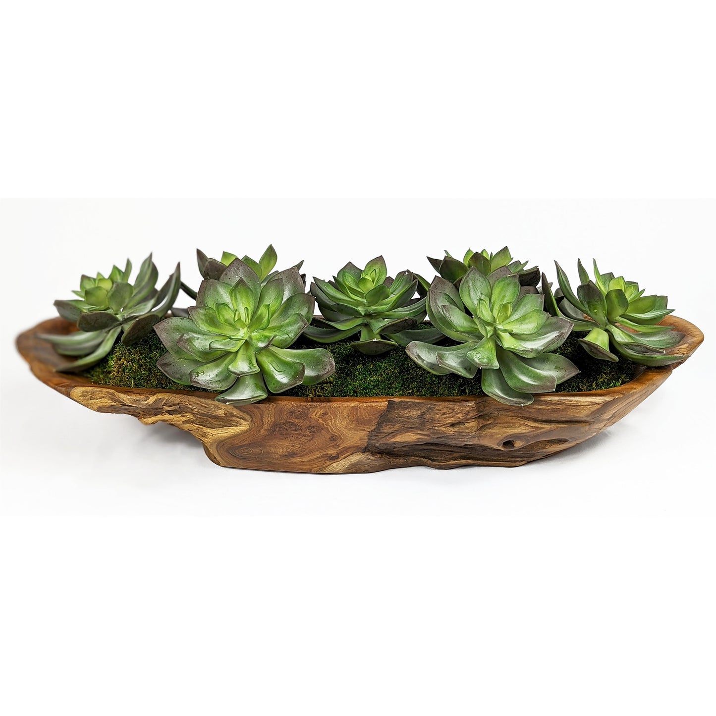 Uttermost 60205 Yuma Succulent Centerpiece