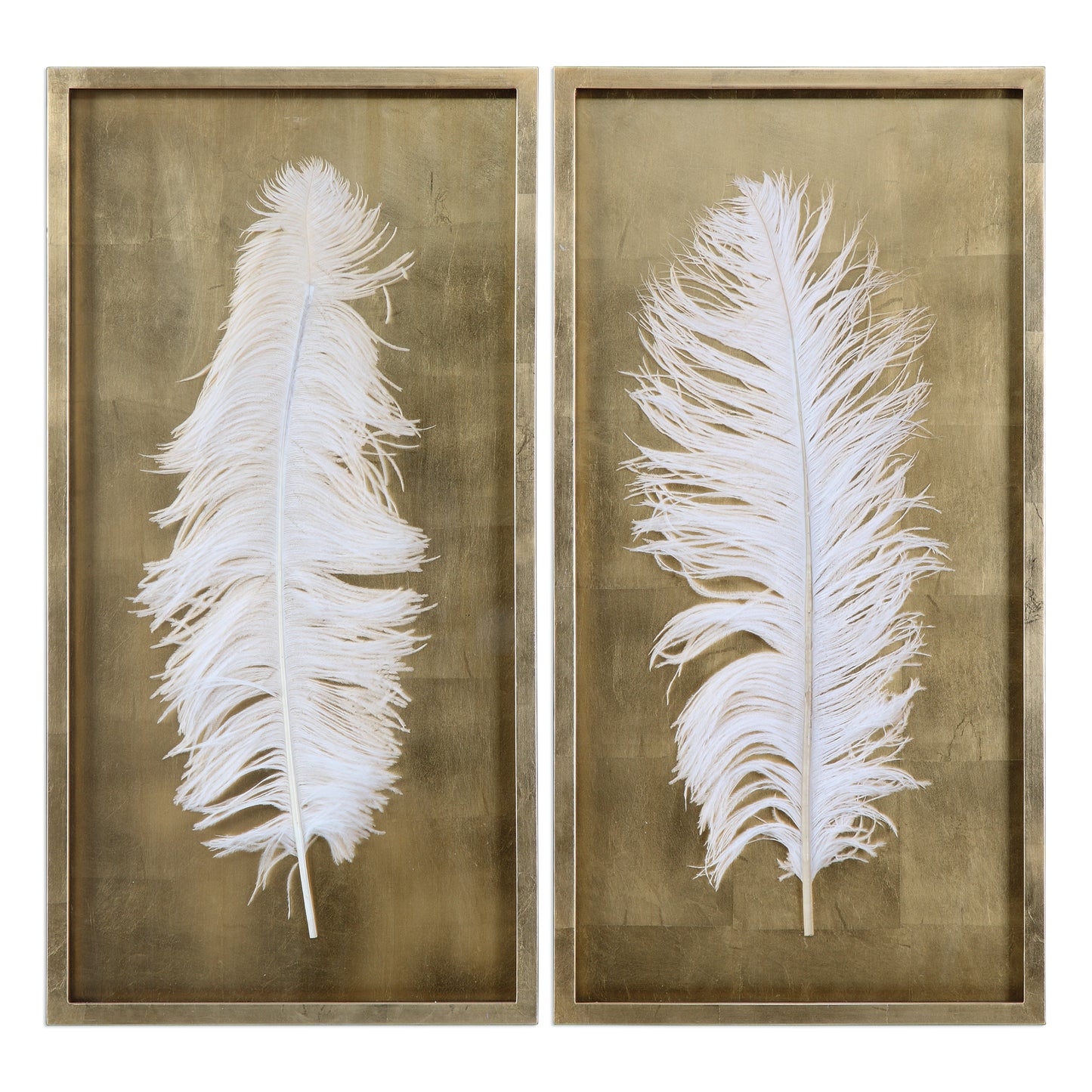 Uttermost 04057 White Feathers Gold Shadow Box S/2