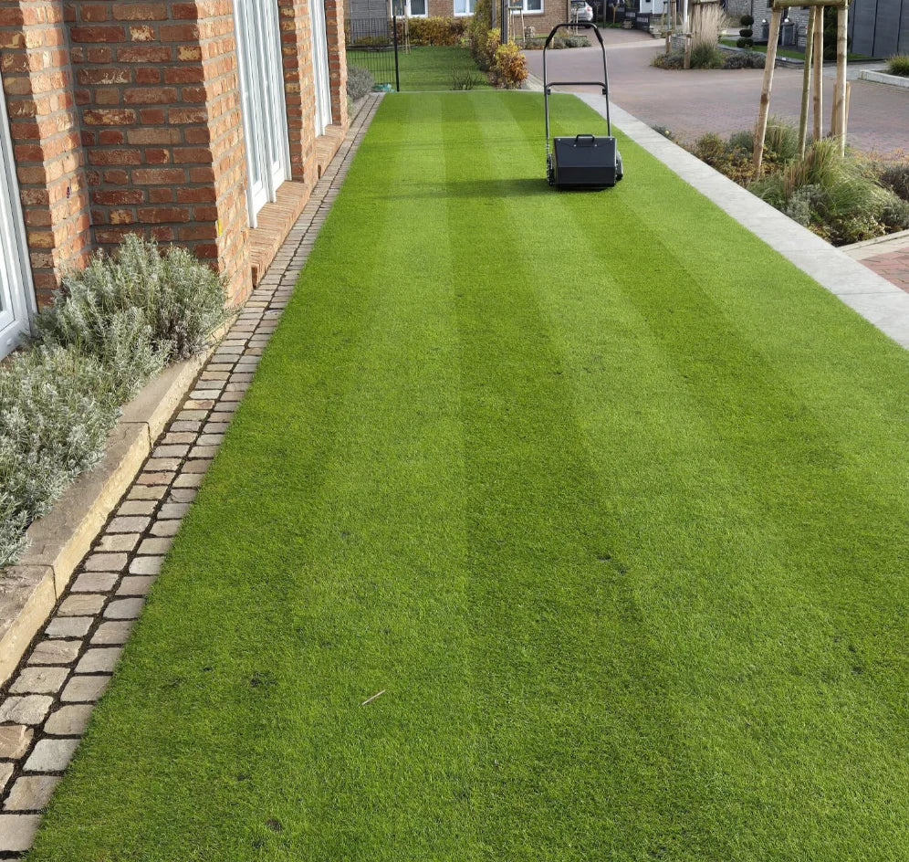 Falkenstein Light Push Reel Mower