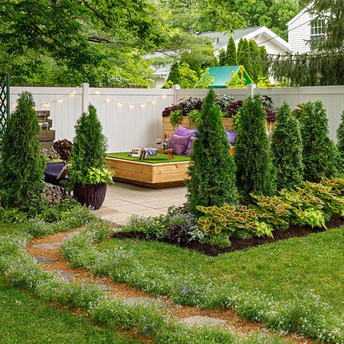 Thuja occidentalis 'Art Boe' PP22174 North Pole® Arborvitae