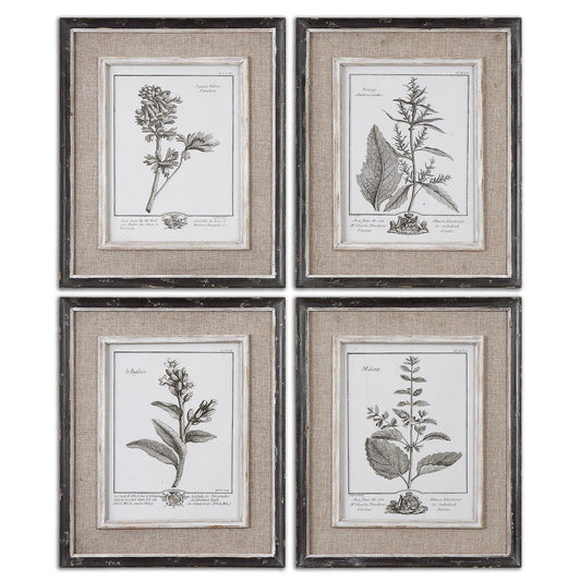 Uttermost 32510 Casual Grey Study Framed Art Set/4