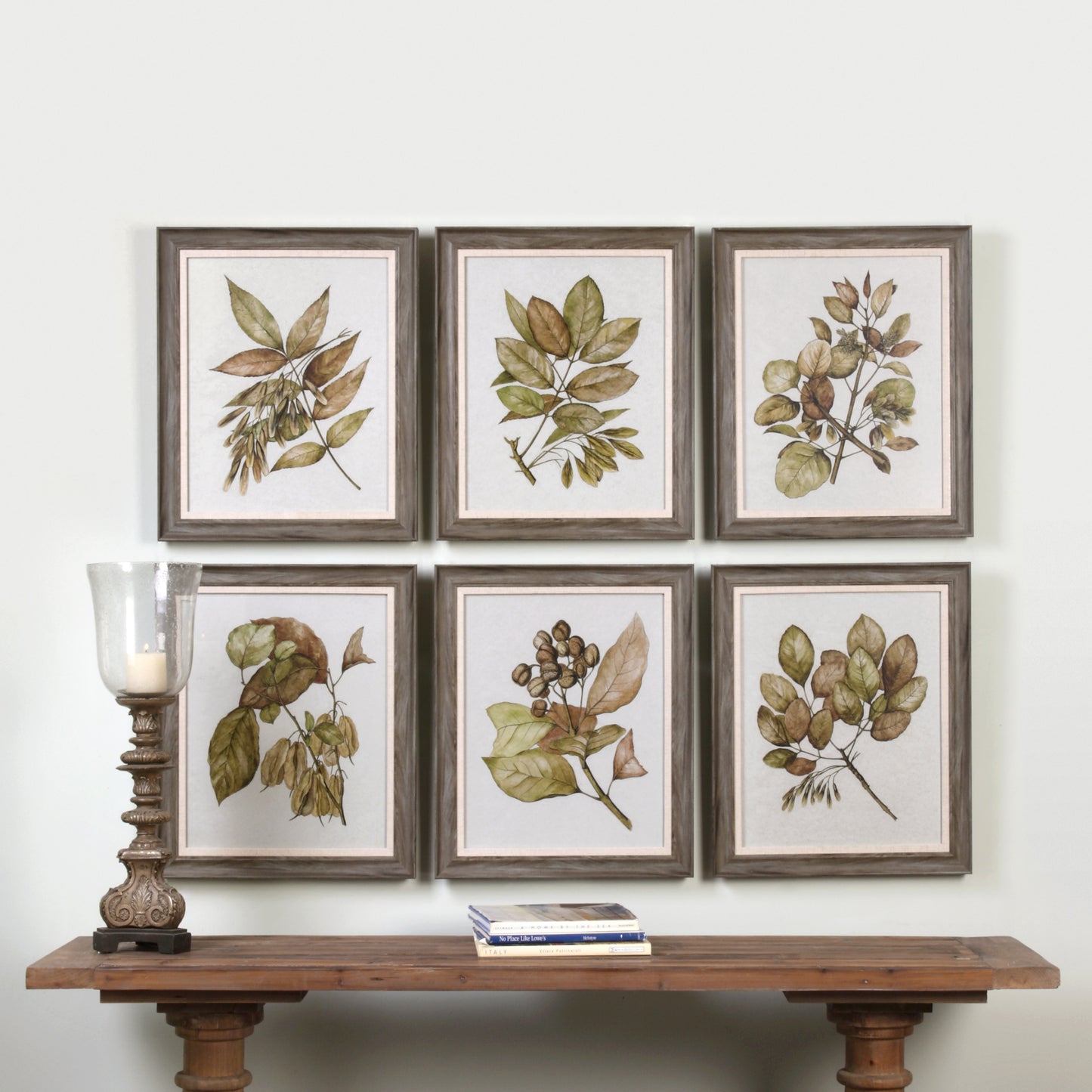 Uttermost 33643 Seedlings Framed Prints S/6