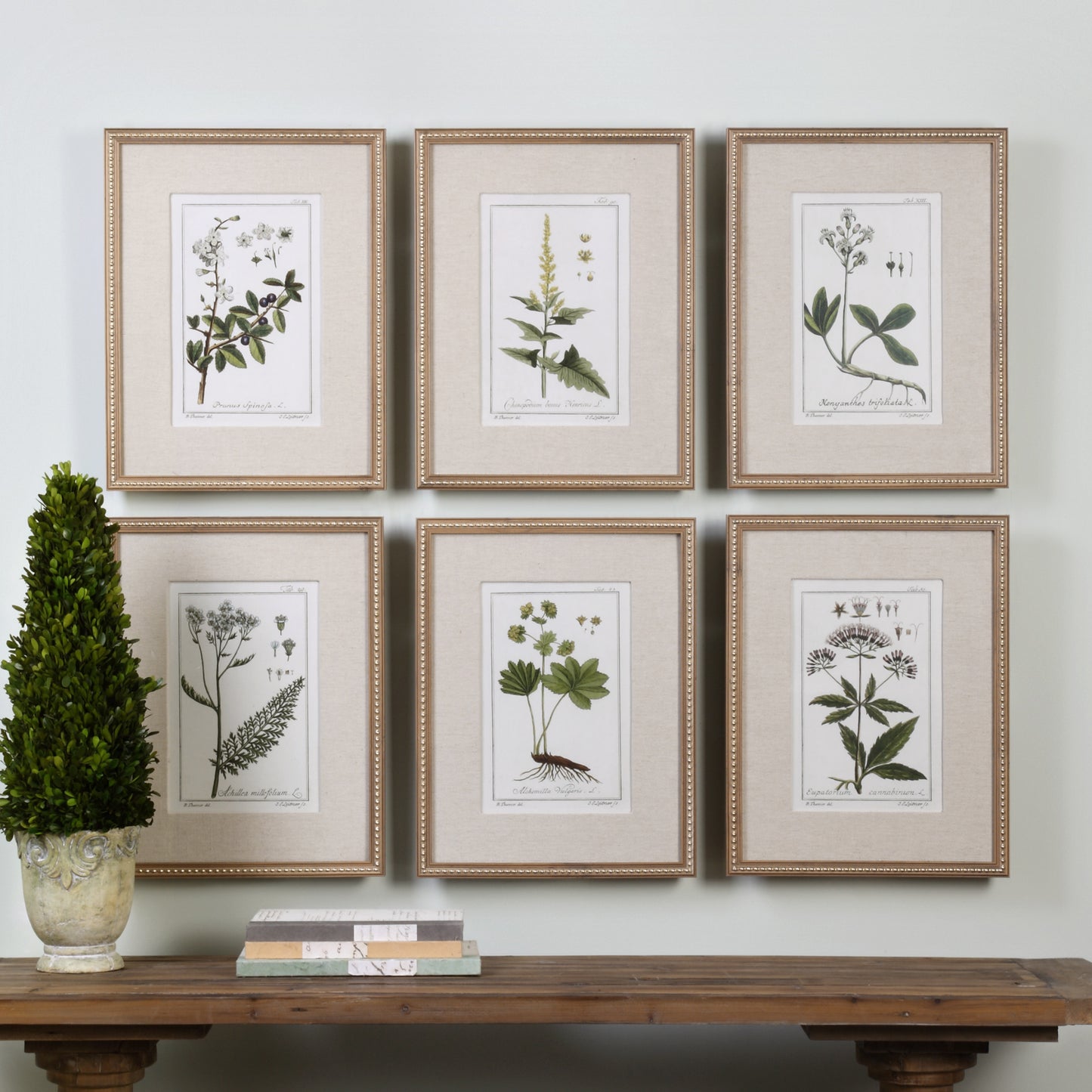 Uttermost 33651 Green Floral Botanical Study Prints S/6