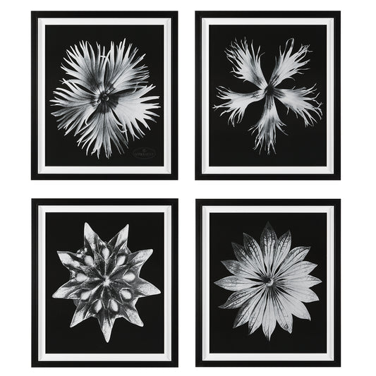 Uttermost 41427 Contemporary Floret Framed Prints, S/4