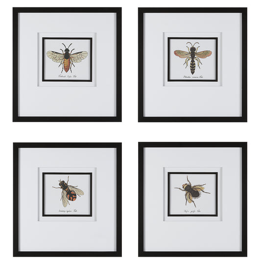 Uttermost 41428 Anthophila Framed Prints, S/4