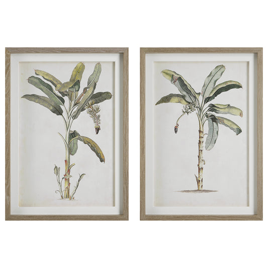 Uttermost 41446 Banana Palm Framed Prints, Set/2