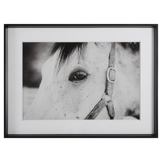 Uttermost 41463 Eye Of The Beholder Framed Print