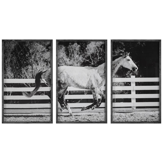 Uttermost 32279 Galloping Forward Equine Prints, Set/3