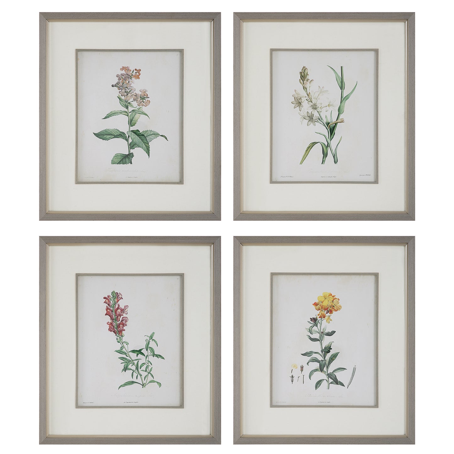 Uttermost 32285 Heirloom Blooms Study Framed Prints Set/4