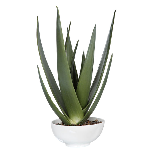 Uttermost 60177 Evarado Aloe Planter