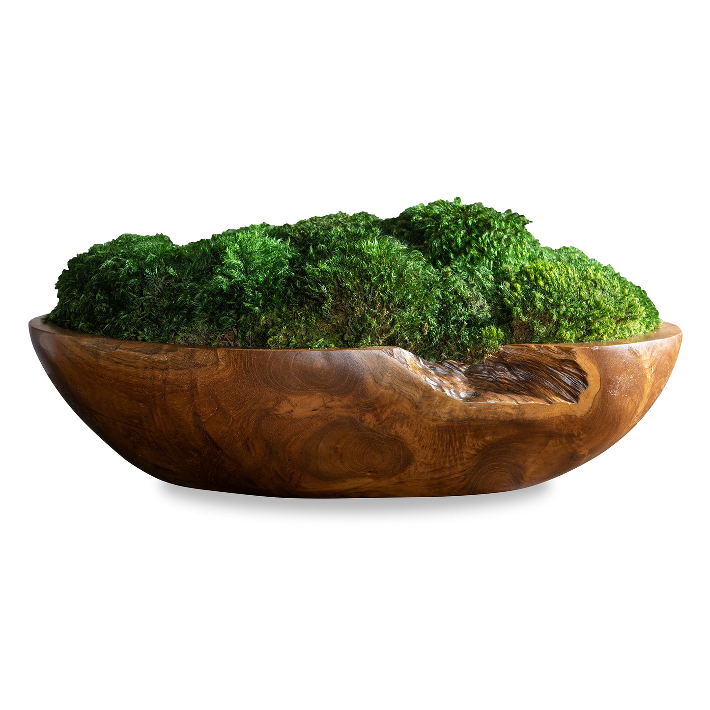 Uttermost 60180 Kinsale Moss Centerpiece