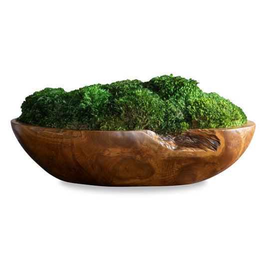 Uttermost 60180 Kinsale Moss Centerpiece