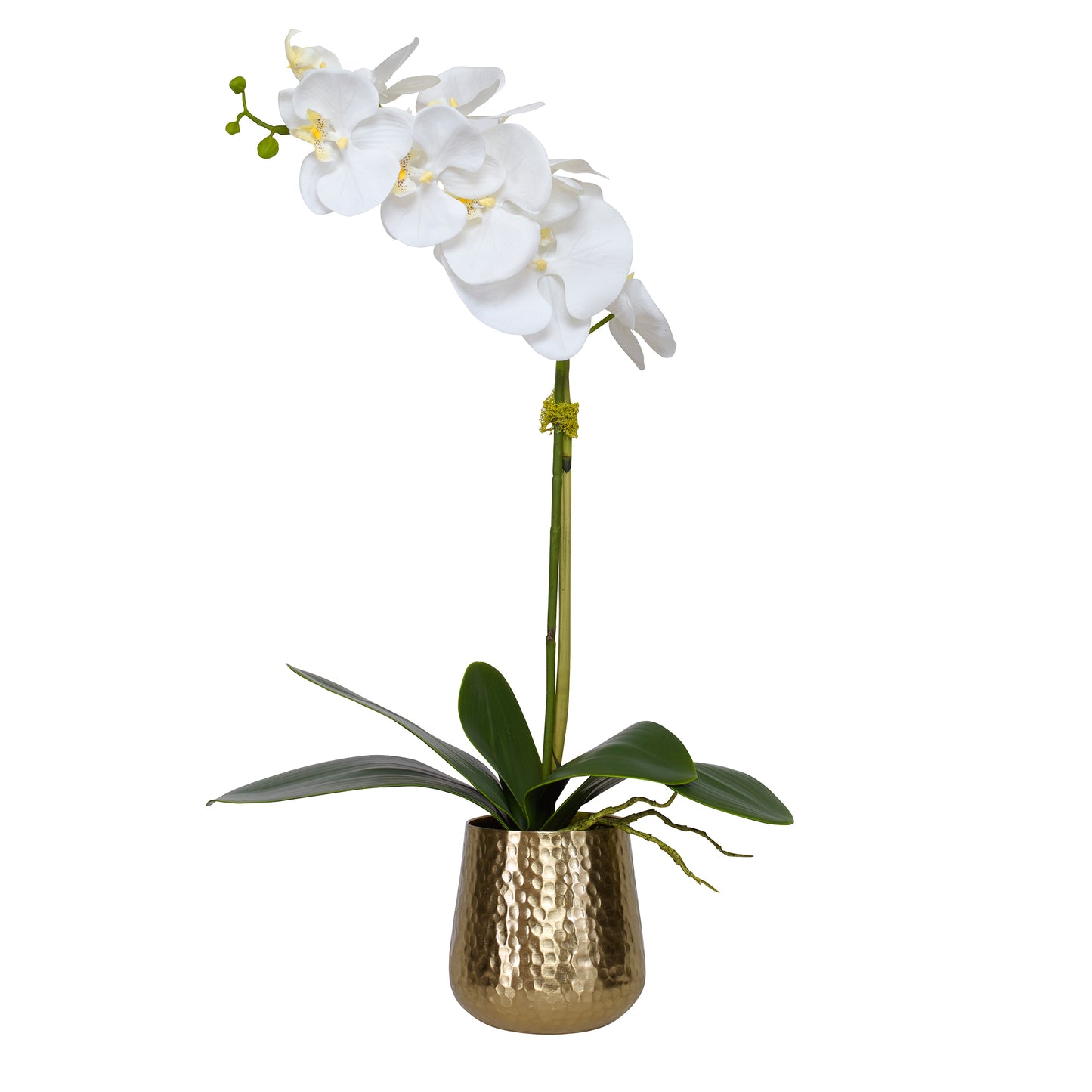Uttermost 60189 Cami Orchid With Brass Pot