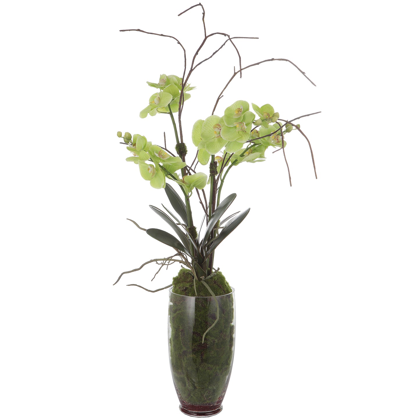Uttermost 60199 Valdive Orchid