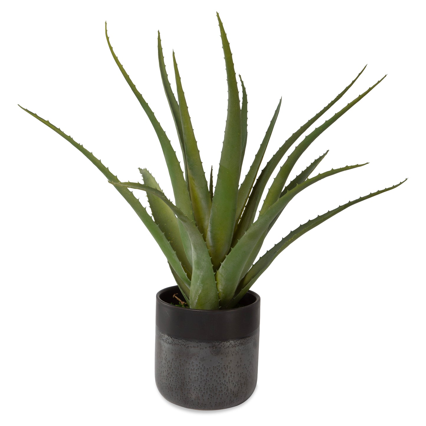 Uttermost 60204 Tucson Aloe Planter