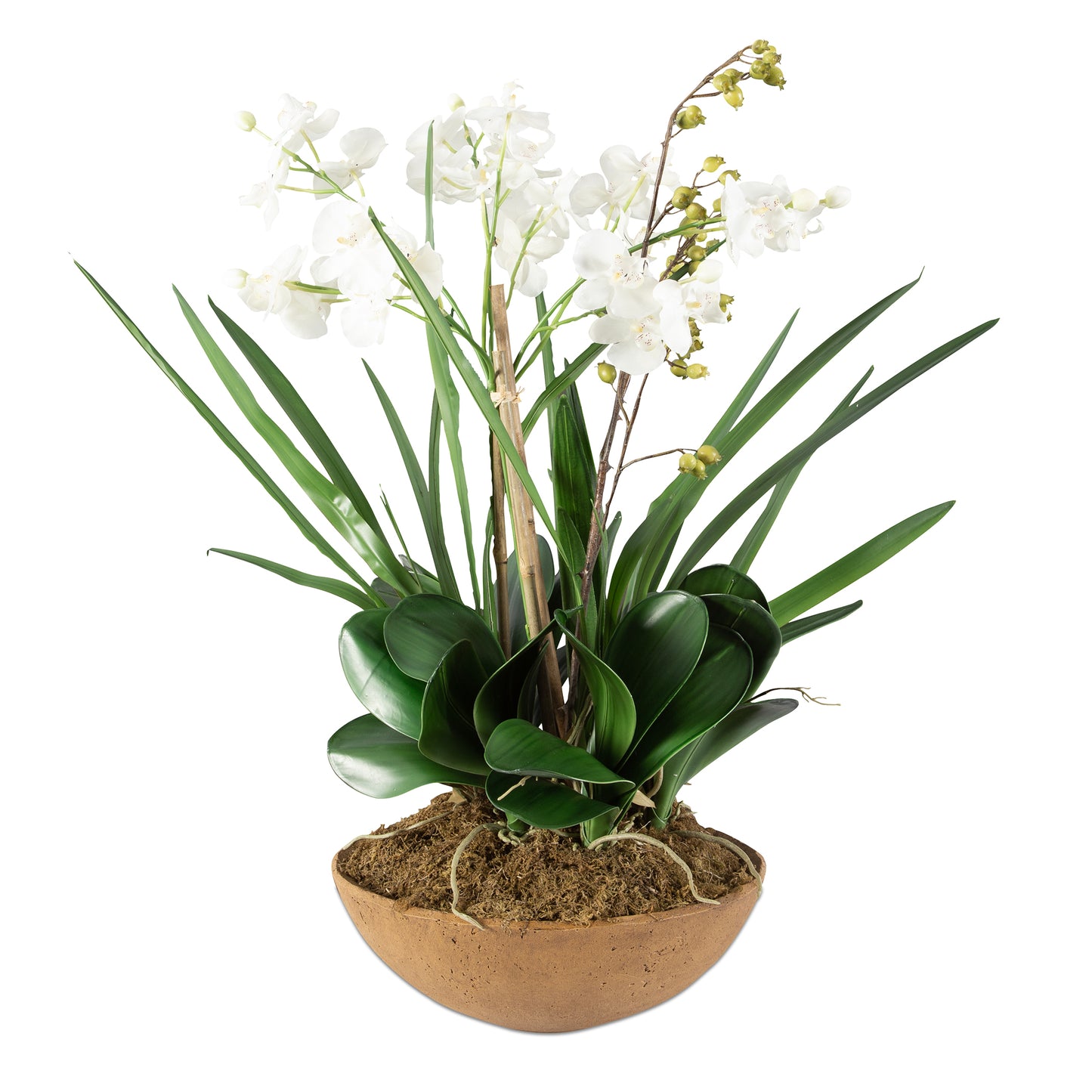Uttermost 60039 Moth Orchid Planter