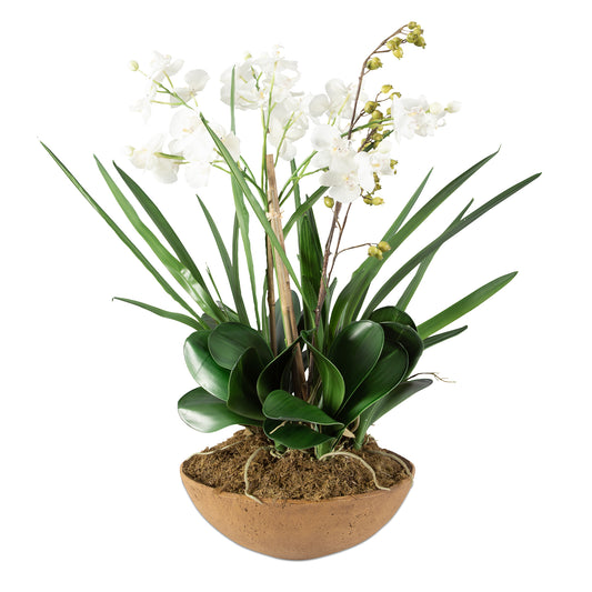 Uttermost 60039 Moth Orchid Planter