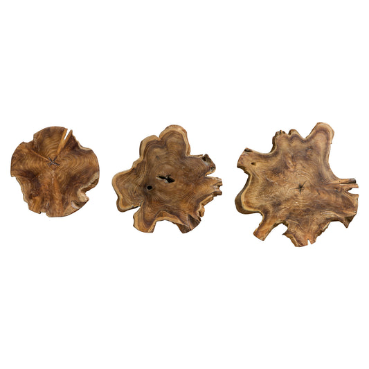 Uttermost 04085 Kalani Teak Wall Art Set/3