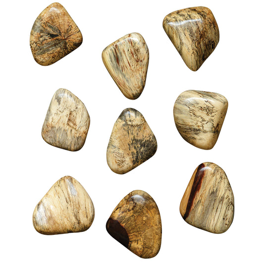 Uttermost 04324 Pebbles Blonde Wood Wall Décor, S/9