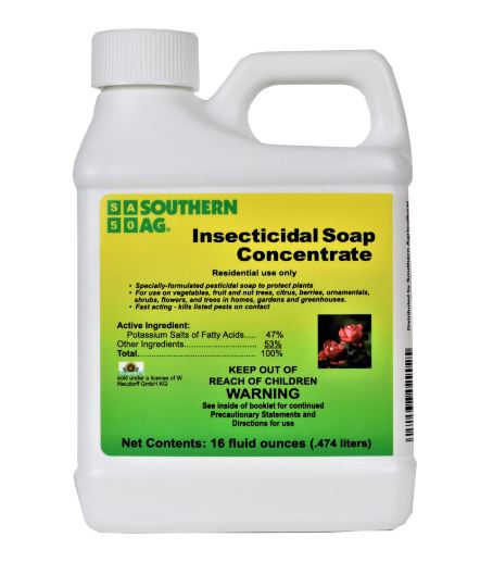 Southern Ag Insecticidal Soap Concentrate, 16oz Bottle