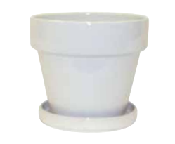 Standard Pot with Attached Saucer - White